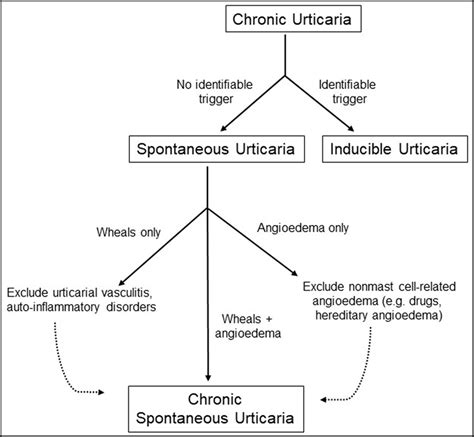 scratch test urticaria|work up for urticaria.